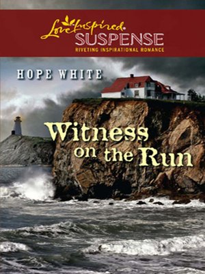 cover image of Witness On the Run